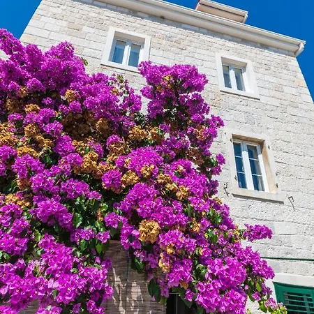 Cosy B Apartman Makarska